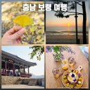 모산농장 | 충남 보령 여행 데이트 장소로 가볼만한곳 5곳 추천