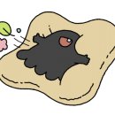 보영만두동탄 이미지