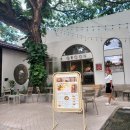 카페 문산(cafe MOON SAN) | 치앙마이 한달살기 라문카페 트레블로지 조식뷔페 차트라뮤 싼캄팽온천 계란시간 돼지갈비맛집 fur 클럽...