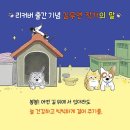 강아지 봉봉 이미지