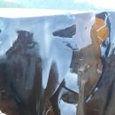 다시마 흑염소 이미지