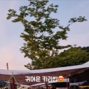 어반글램핑 이미지