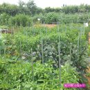 버들농장 이미지