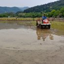 송이농장 이미지