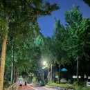 강서구민회관 화장실 이미지