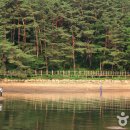 산정호수 아일랜드 이미지