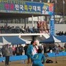 달성군민운동장 이미지