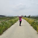 길38 이미지