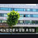 한빛노인전문 요양원 | [부평 주간보호센터/추천/후기] 연세노인전문요양원 효성점 어르신 맞춤형 일상 지원 집중
