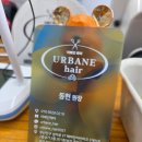 부산진구-31 | ✂ [부산진구 연지동 미용실 어베인헤어] 31개월 남아 커트 후기 💇‍♂️