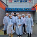 지엠에프 전주일보