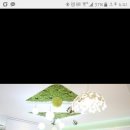 스카이무인텔 이미지