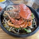 치꼬 이미지