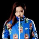 이볼브 트레이닝 이미지
