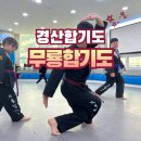 무룡합기도 이미지