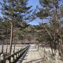 만해기념관 | [인제 가볼만한 곳 #만해기념관관] 인제 백담사에 가다