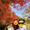 바람공원_R | 아기랑 진해 나들이(내수면생태공원/이코노피자/스위트랩)