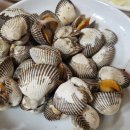 종갓집 꼬막회관 이미지