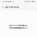 세러데이아일랜드