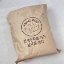언니도그 | 강아지쿨매트 폭신한 엔젤도그 개어리즘 강아지여름방석
