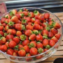 G통상 | 빕스 딸기축제 2026 뷔페 총정리 신메뉴 구성부터 G마켓 베리 머치 바우처까지