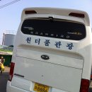 유진여행사 Daum카페