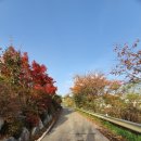 산책가는길 - 수성구 청수로 284 | 산책가는길