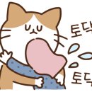 수경꽃집 이미지