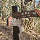 공곶이이야기 이미지