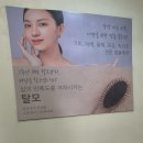 송원동로 이미지