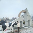 임실 산타 마을 축제 이미지