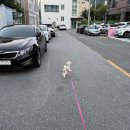 무-우식당 | 진짜 놀고 먹기만 하는 일상