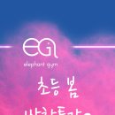 운동하는코끼리 이미지