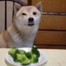 토마토부페 이미지