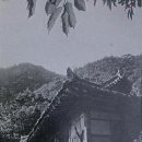 김성수수학 네이버블로그