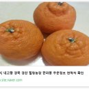 힐링농장 이미지