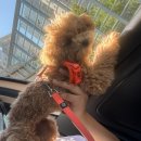 타타스베이글 평택용이점 이미지