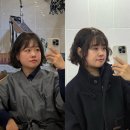 하남농협본점 | 하남 미사 미용실 헤어서호 단발펌 젤리펌 후기