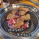 여유돼지부자돼소