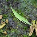 열이농장 이미지