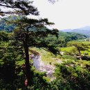 계곡사랑 이미지