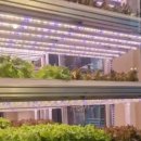 리브팜 압구정 이미지