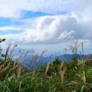 불모산 저수지 내 이미지