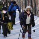 분원초등학교 이미지