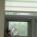 두류3동행정복지센터 이미지