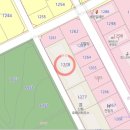 들성로-9 이미지