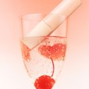 할리베어 | [할리스] 할리베어 키링 카드지갑 후기 + 올영 블프 장바구니