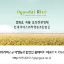 현대 라이스 위탁 영농조합법인 이미지