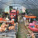 구례농장 이미지