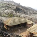 청매실농원 이미지